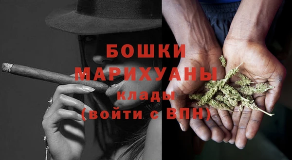шишки Гусь-Хрустальный