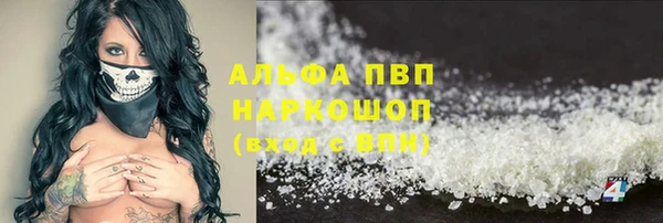 шишки Гусь-Хрустальный