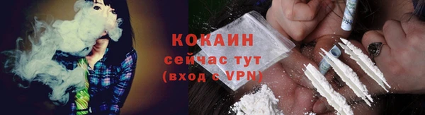 шишки Гусь-Хрустальный