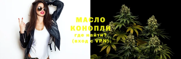 шишки Гусь-Хрустальный