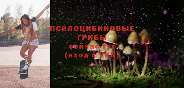 шишки Гусь-Хрустальный