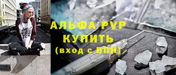 шишки Гусь-Хрустальный