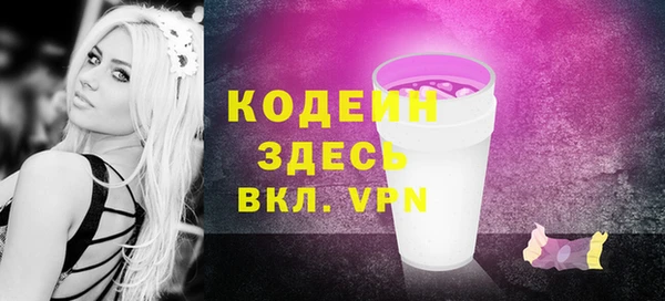 шишки Гусь-Хрустальный