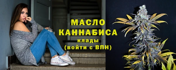 шишки Гусь-Хрустальный