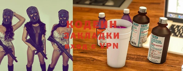 шишки Гусь-Хрустальный