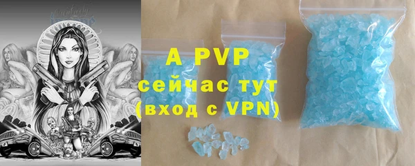 PSILOCYBIN Гусев