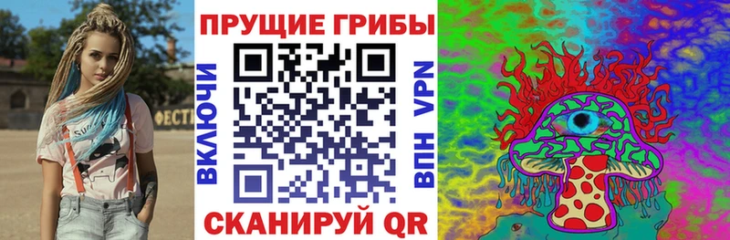 Псилоцибиновые грибы GOLDEN TEACHER  Купить  Плёс 
