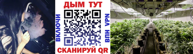 Купить где  Плёс  Бошки марихуана MAZAR 